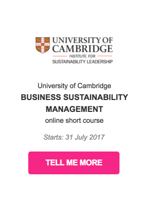 CSR course business sustainability management