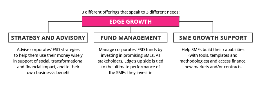 Edge Growth business offerings CSR