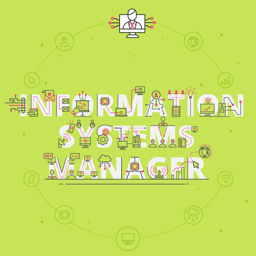 information system manager