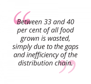 between 33 and 40 per cent of all food grown is wasted, simply due to the gaps and inefficiency of the distribution chain pull quote