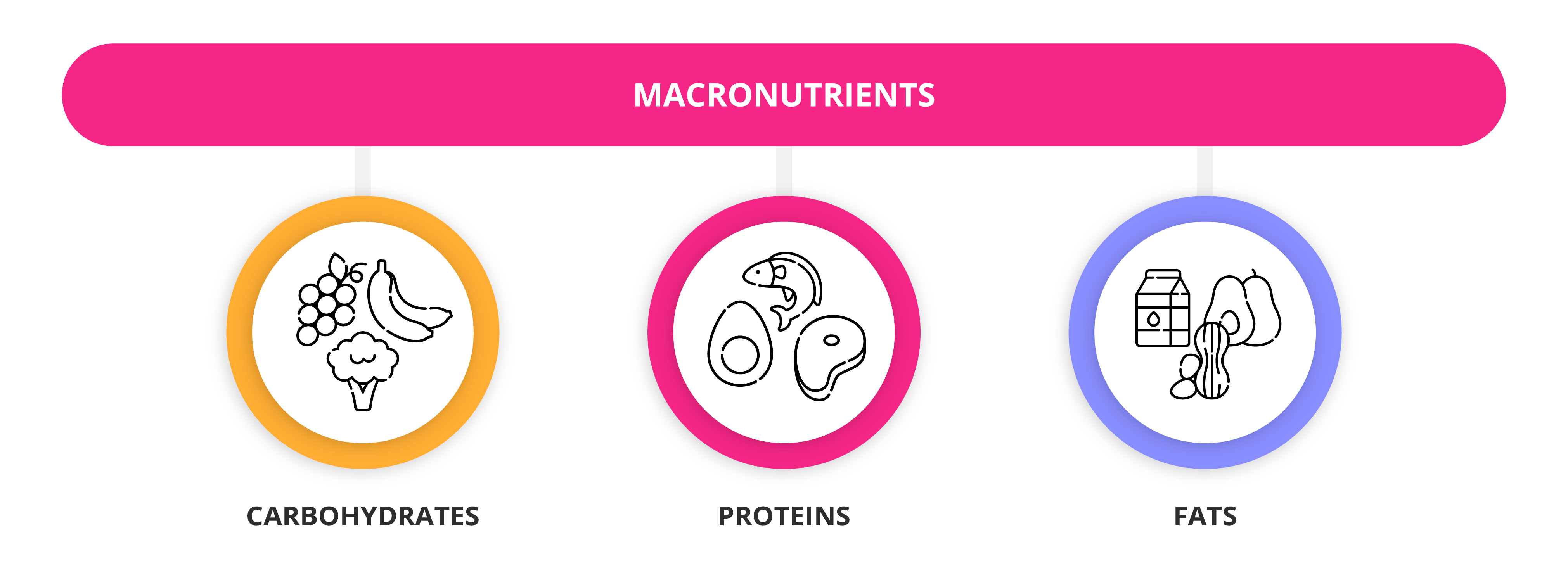 What Are Macronutrients And Micronutrients Getsmarter Blog