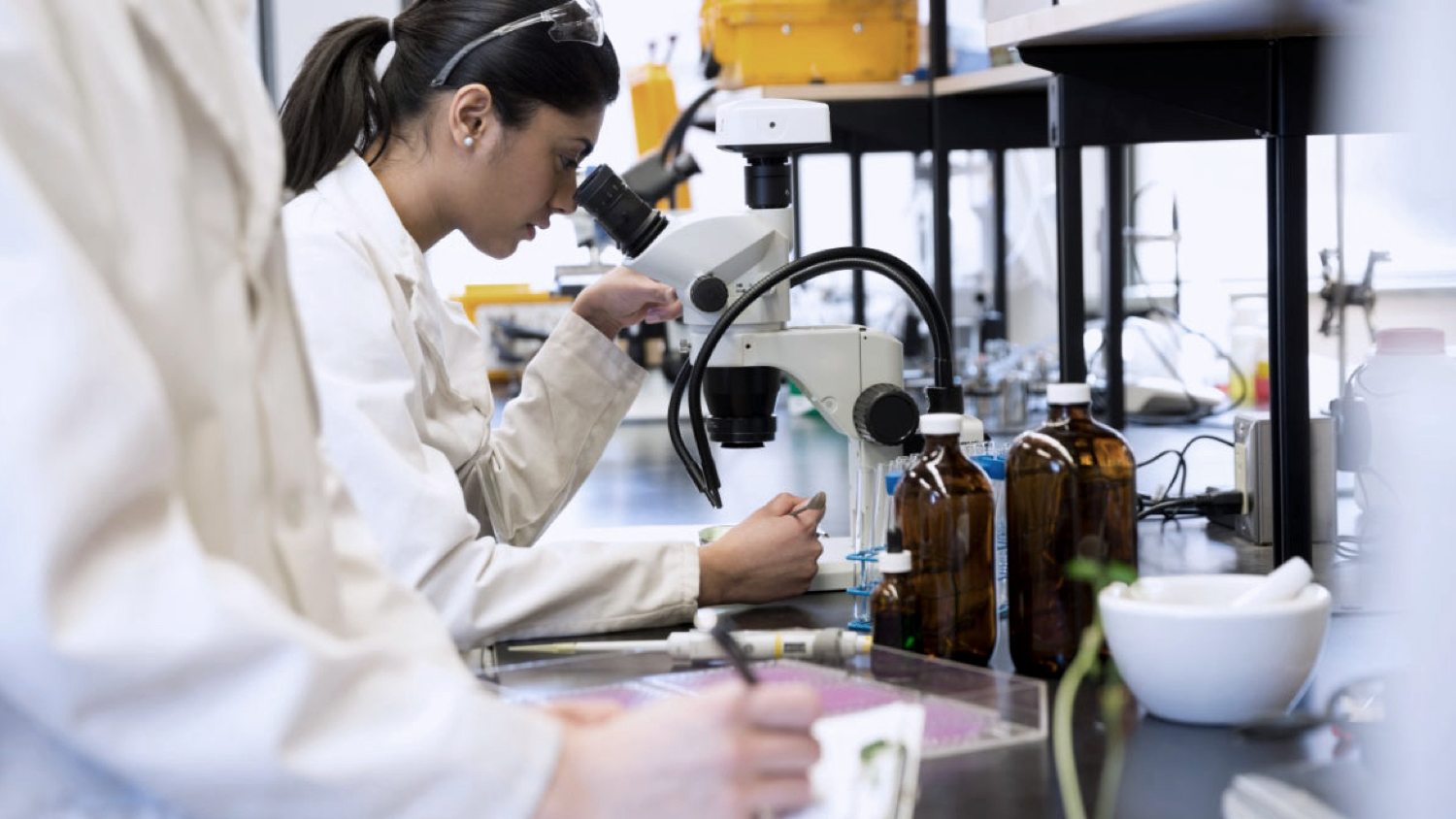 Methods and Mechanisms for Manipulation of Plants, Animals and