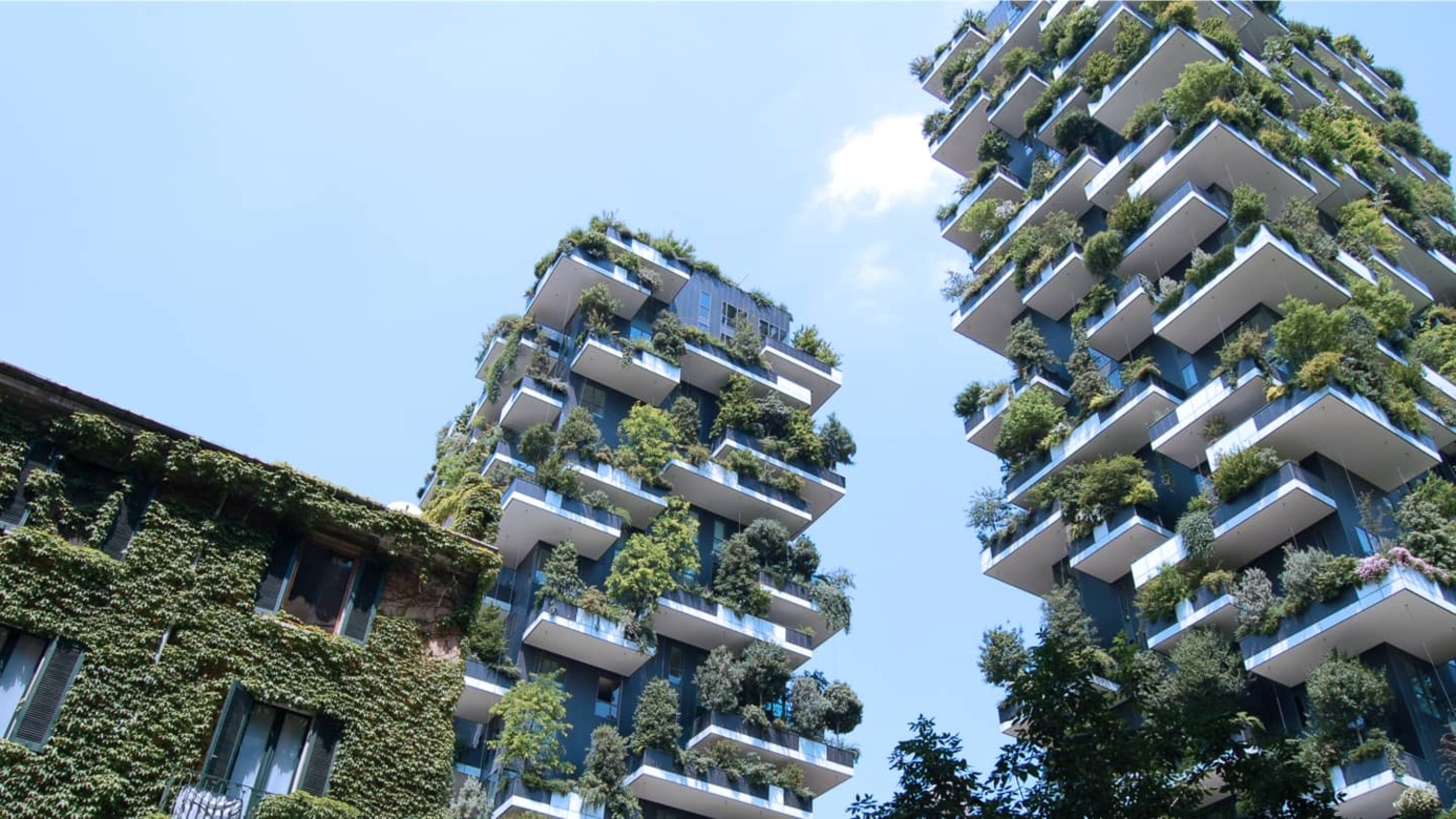 why businesses need to build climate resilience
