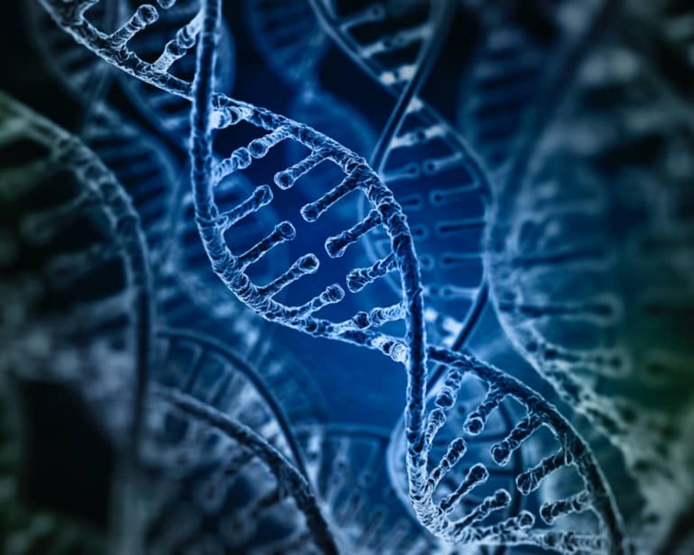 Harvard VPAL CRISPR: Gene-editing Applications online short course banner