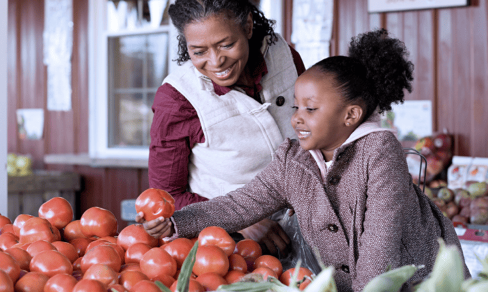 Cambridge Sustainable Food: Production and Processing online short course banner