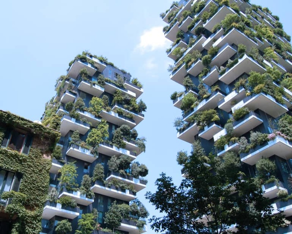 Cambridge Business Sustainability Management online short course banner