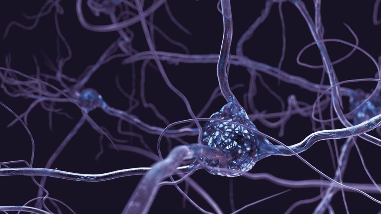 MIT Sloan Neuroscience for Business online program banner