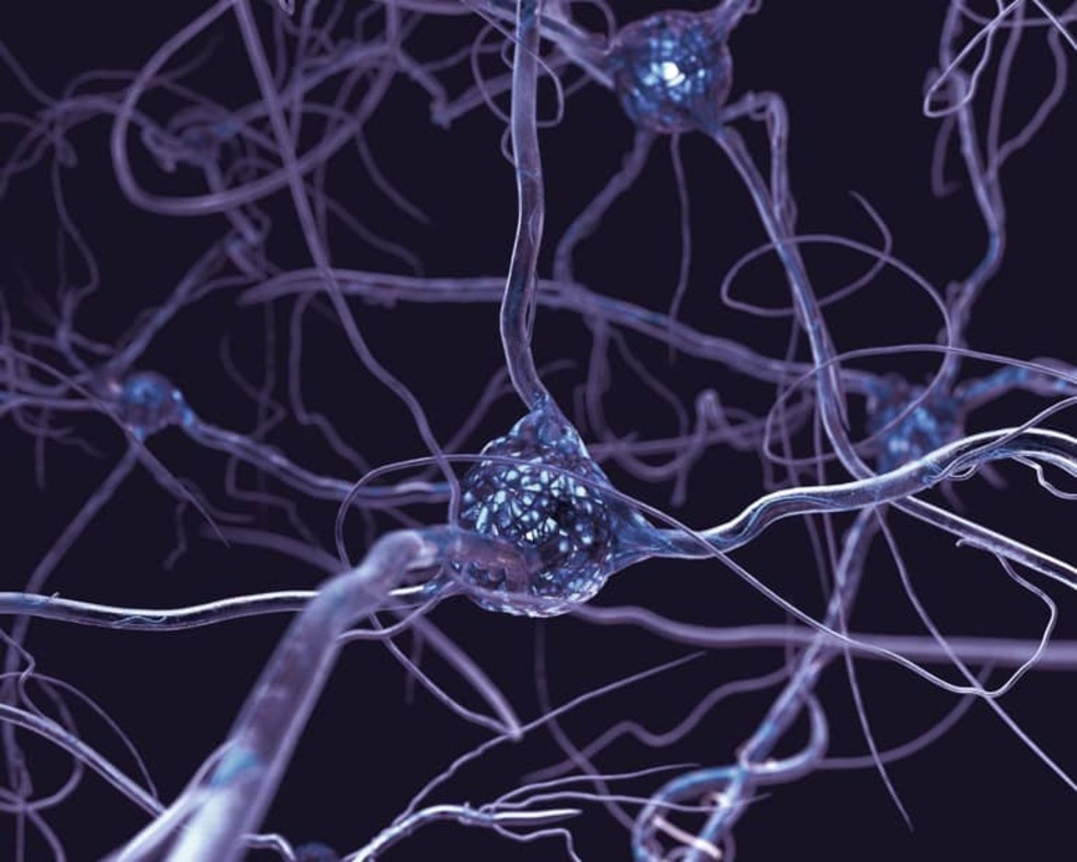 MIT Sloan Neuroscience for Business online program banner