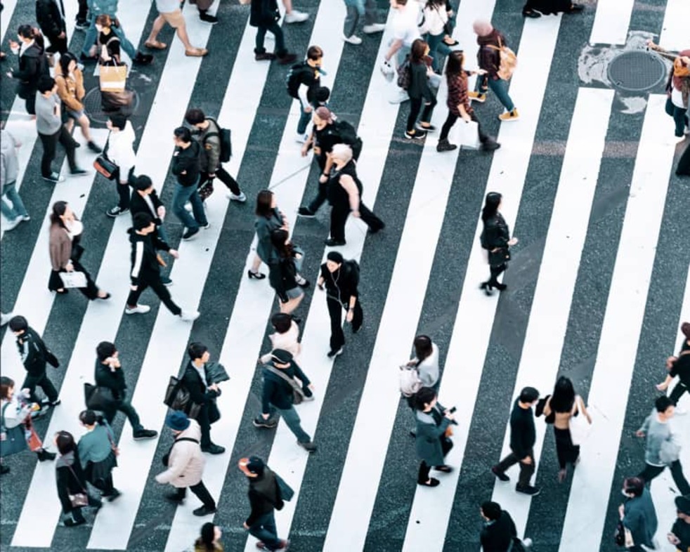 LSE Economic and Political Development in Developing Countries online certificate course banner