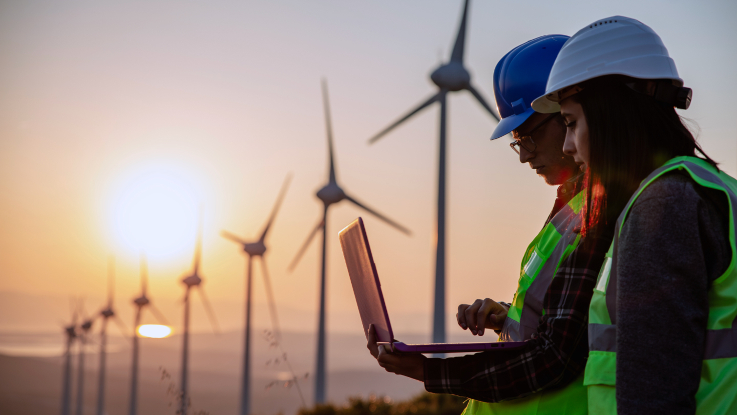 LSE Politics and Policy of Climate Change and Sustainability online certificate course banner
