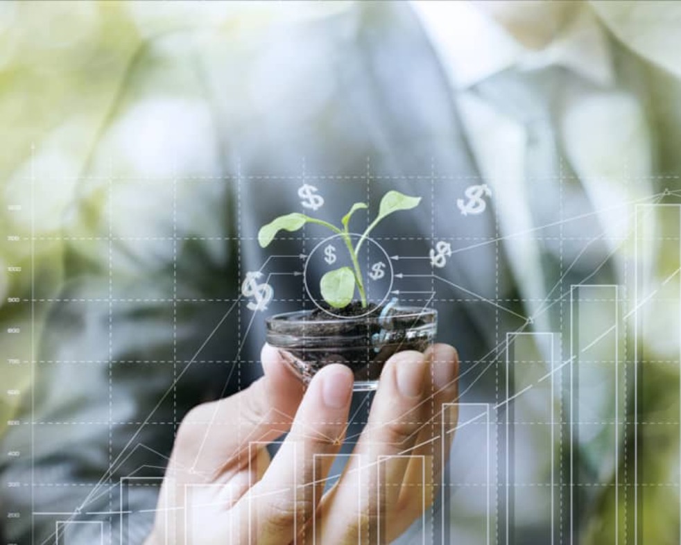 MIT Sloan Business Sustainability Strategy: Technology and Management online program banner