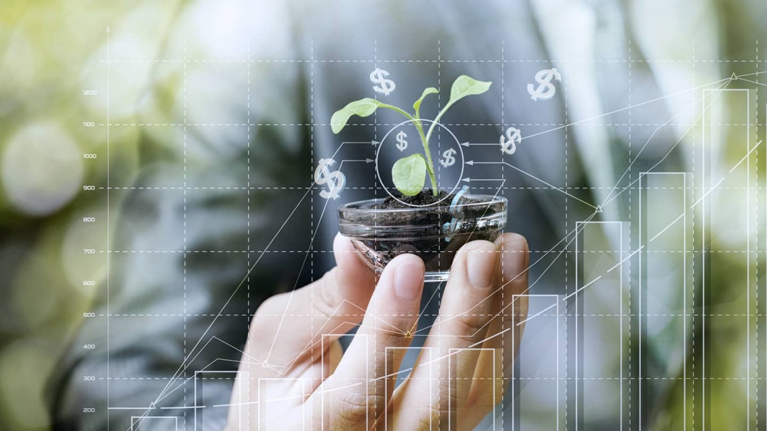 MIT Sloan Business Sustainability Strategy: Technology and Management online program banner